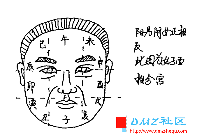 085010lt1itqzqiz8l1zty.png