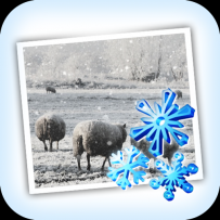 JixiPix Snow Daze for Mac(下雪效果制作工具) v1.27直装版